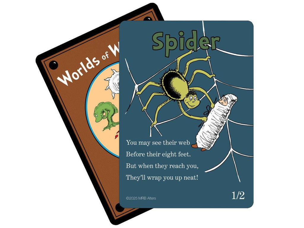 Whimsical Spider Token