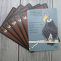Whimsical Bird (black) token